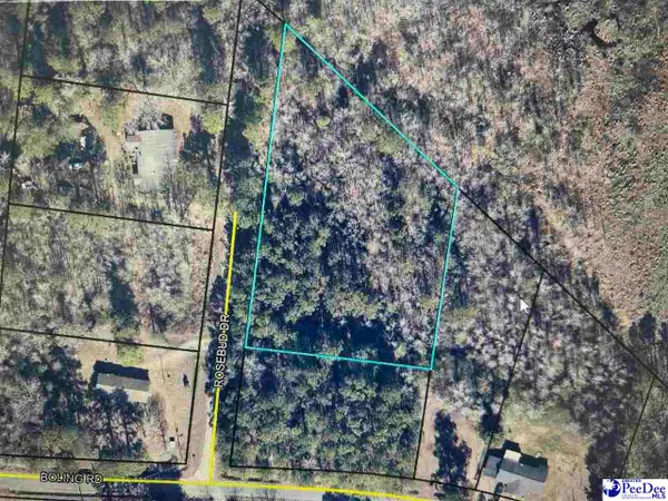 1119 Rosebud Ln, Pamplico, SC 29583