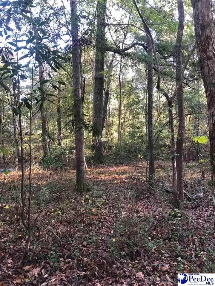 TBD Pineview St, Darlington, SC 29532 - #1