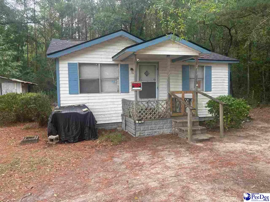 222 Emanuelville Loop, Dillon, SC 29536 - #2