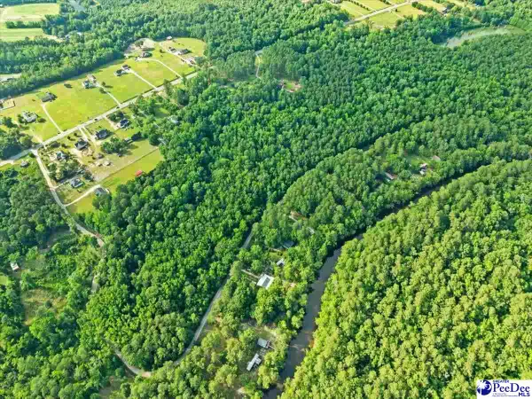 1047 Roundtree Road, Effingham, SC 29541-6562