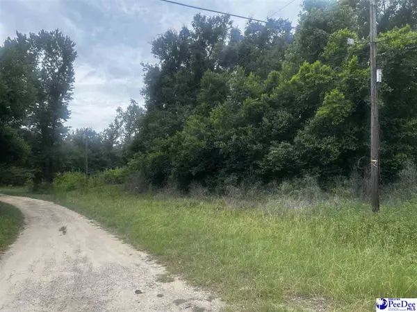 TBD S 22nd Ave., Dillon, SC 29356