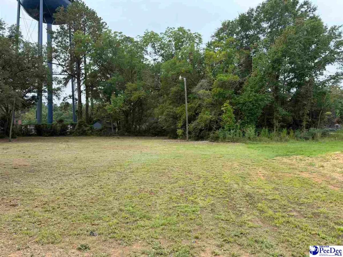 1002 E Dargan St, Dillon, SC 29536 - #1