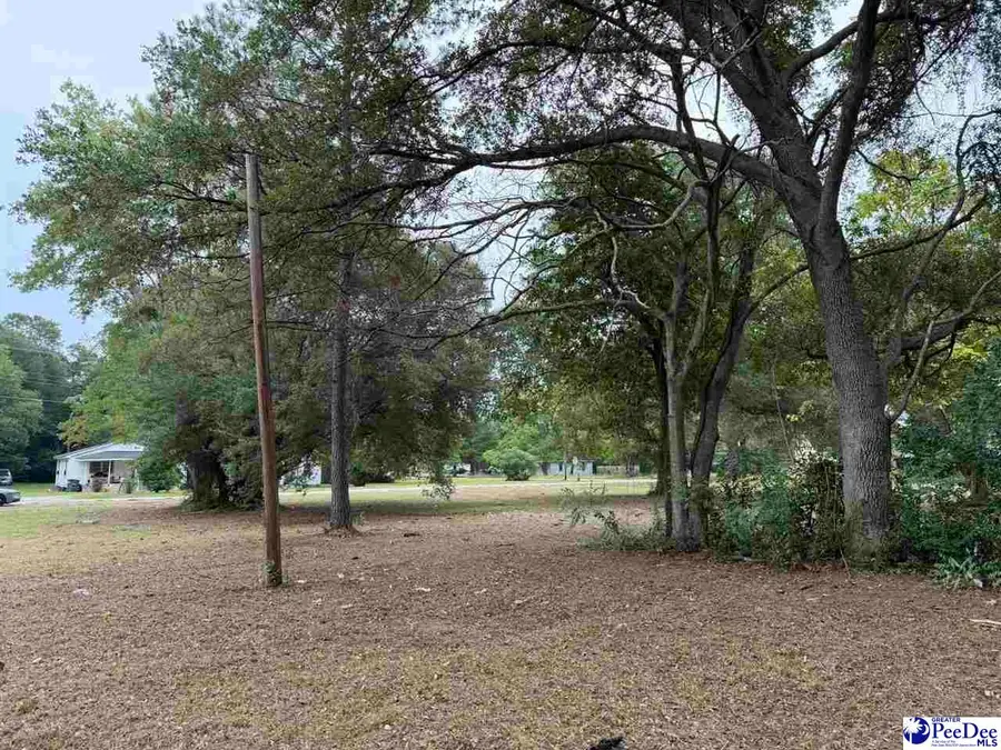 1006 E Dargan St, Dillon, SC 29536 - #2