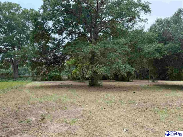 1008 E Dargan St, Dillon, SC 29536