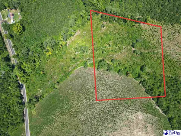 9.14 Acress Off Dalcho Rd, Latta, SC 29565