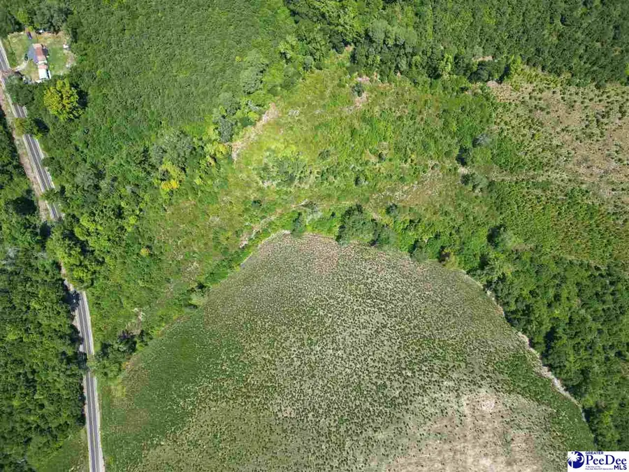 9.14 Acress Off Dalcho Rd, Latta, SC 29565 - #2
