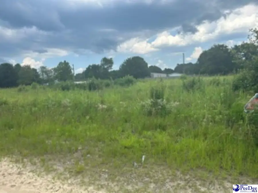 2556 Shadeland Drive, Hamer, SC 29547 - #3