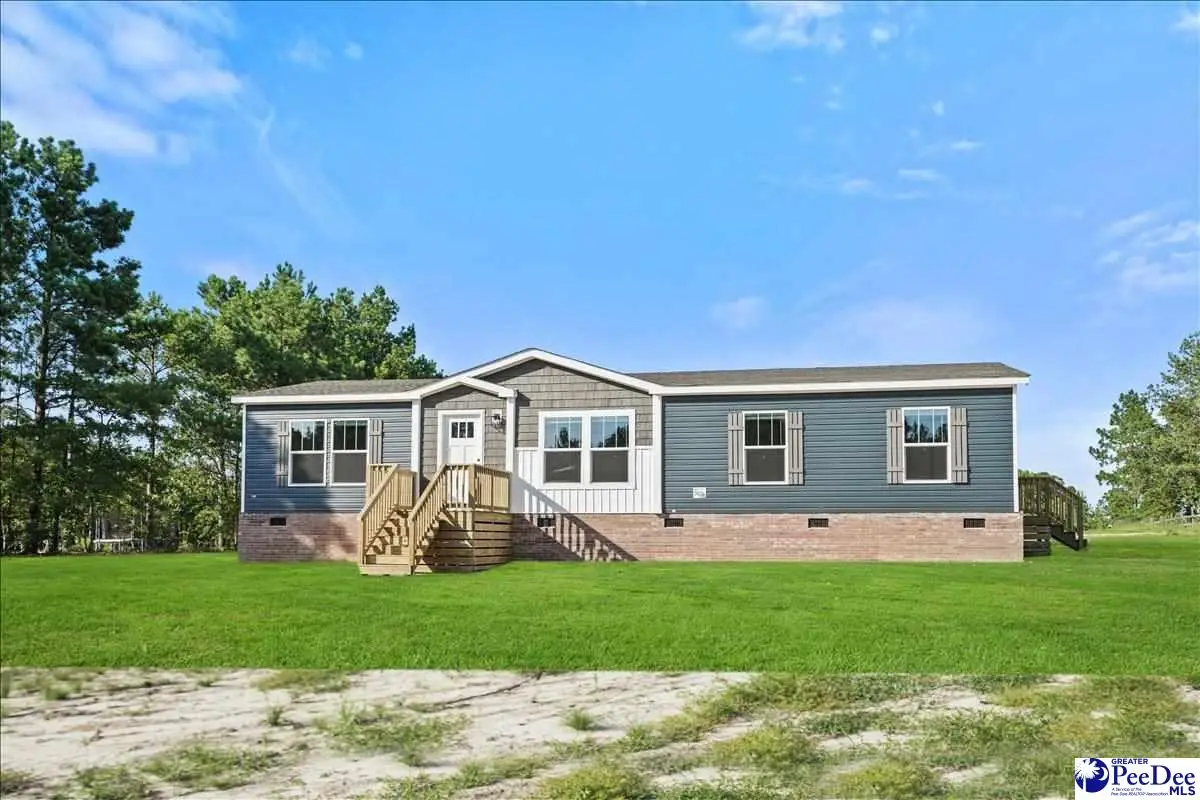 6493 Airport Road, Mount Croghan, SC 29727 - #1