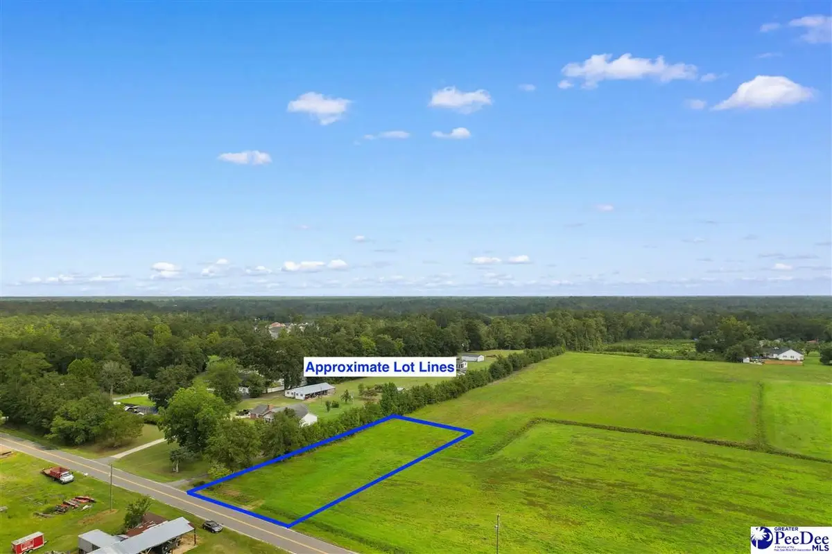 TBD Zion Rd, Galivants Ferry, SC 29544 - #1