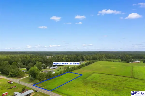 TBD Zion Rd, Galivants Ferry, SC 29544