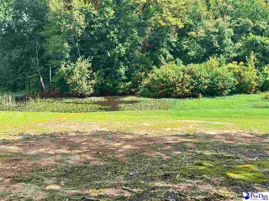 1925 Timmonsville Hwy, Darlington, SC 29532-8206 - #3