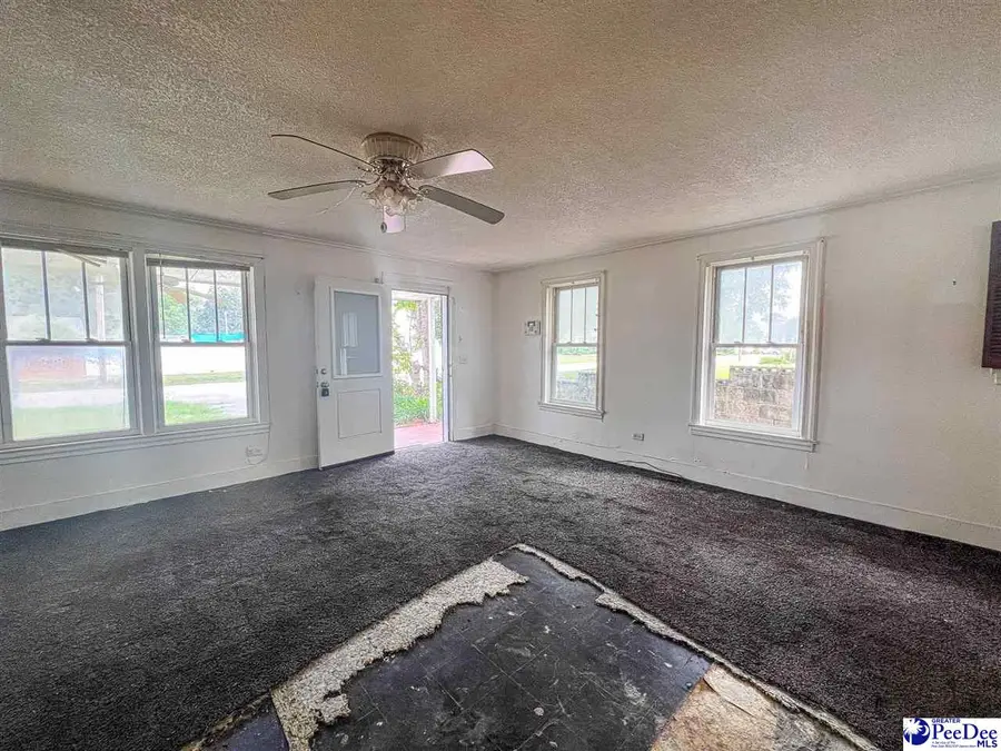 206 N 8th Ave, Dillon, SC 29536 - #3