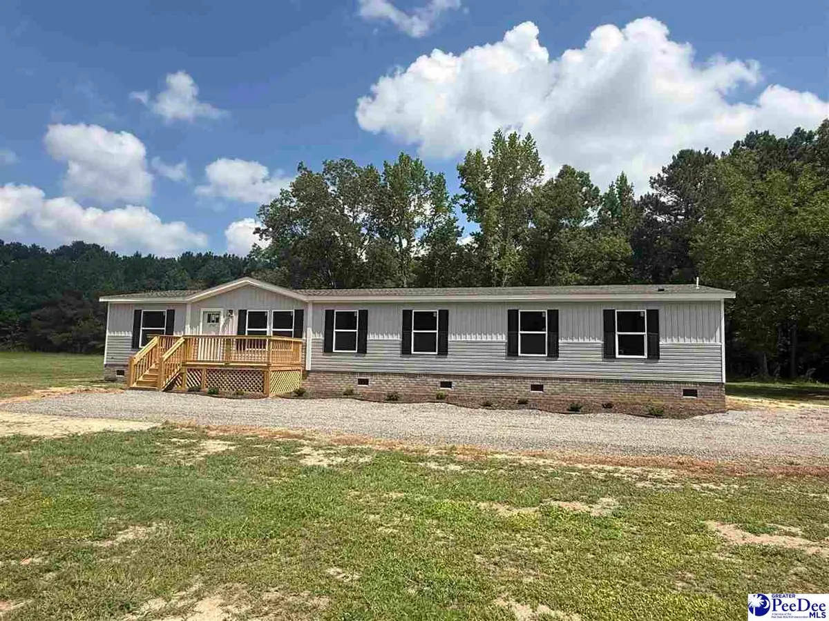 2707 Ballpark Rd, Effingham, SC 29541 - #1