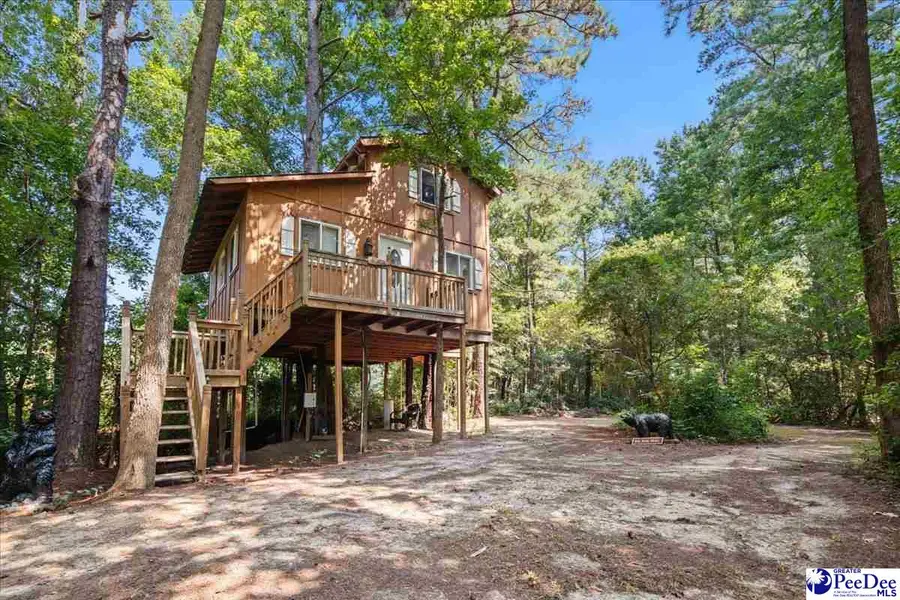 1396 Kennedy Haines Road, Pamplico, SC 29583 - #2