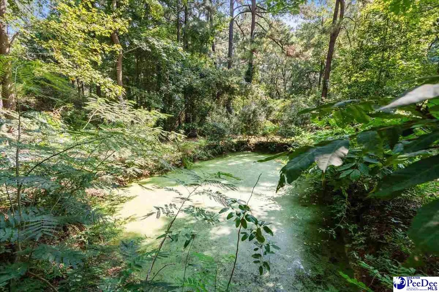 1396 Kennedy Haines Road, Pamplico, SC 29583 - #3