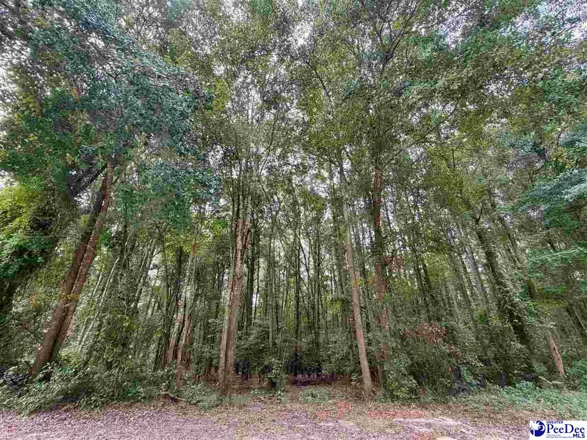 Pleasant Valley Road, Cheraw, SC 29520 - #1