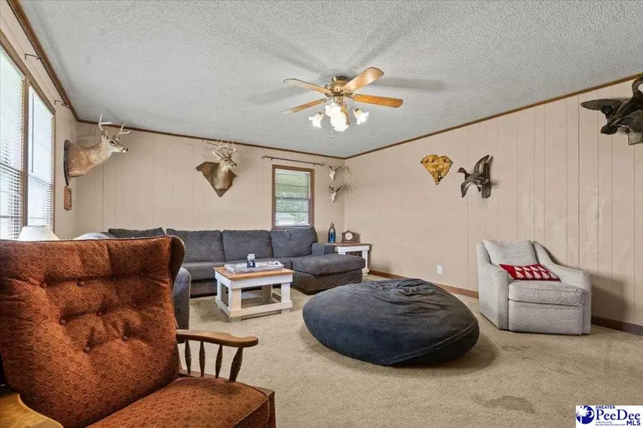 920 Bass Rd, Pamplico, SC 29583-5106 - #2