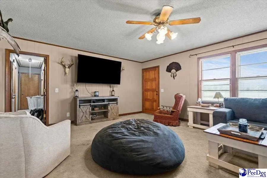 920 Bass Rd, Pamplico, SC 29583-5106 - #3