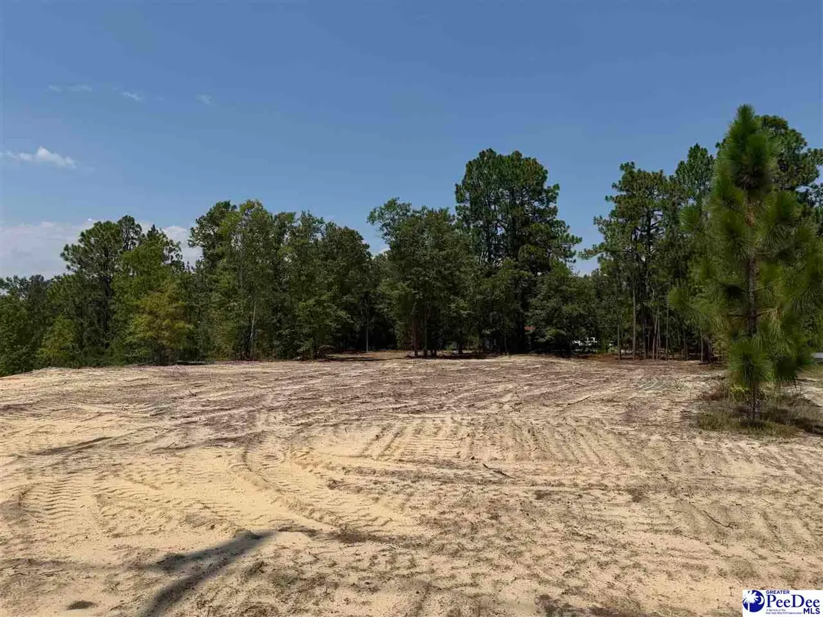 Lot 3 Patrick Highway, Hartsville, SC 29550 - #1