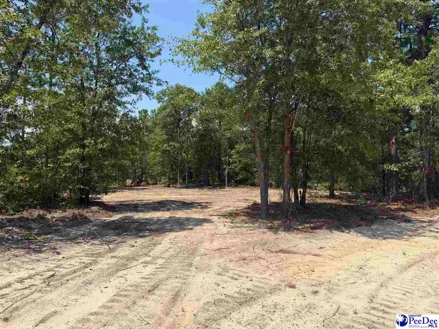 Lot 3 Patrick Highway, Hartsville, SC 29550 - #2