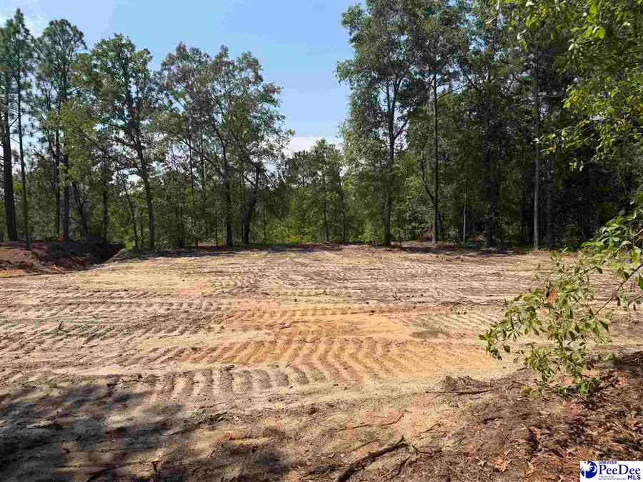 Lot 3 Patrick Highway, Hartsville, SC 29550 - #3