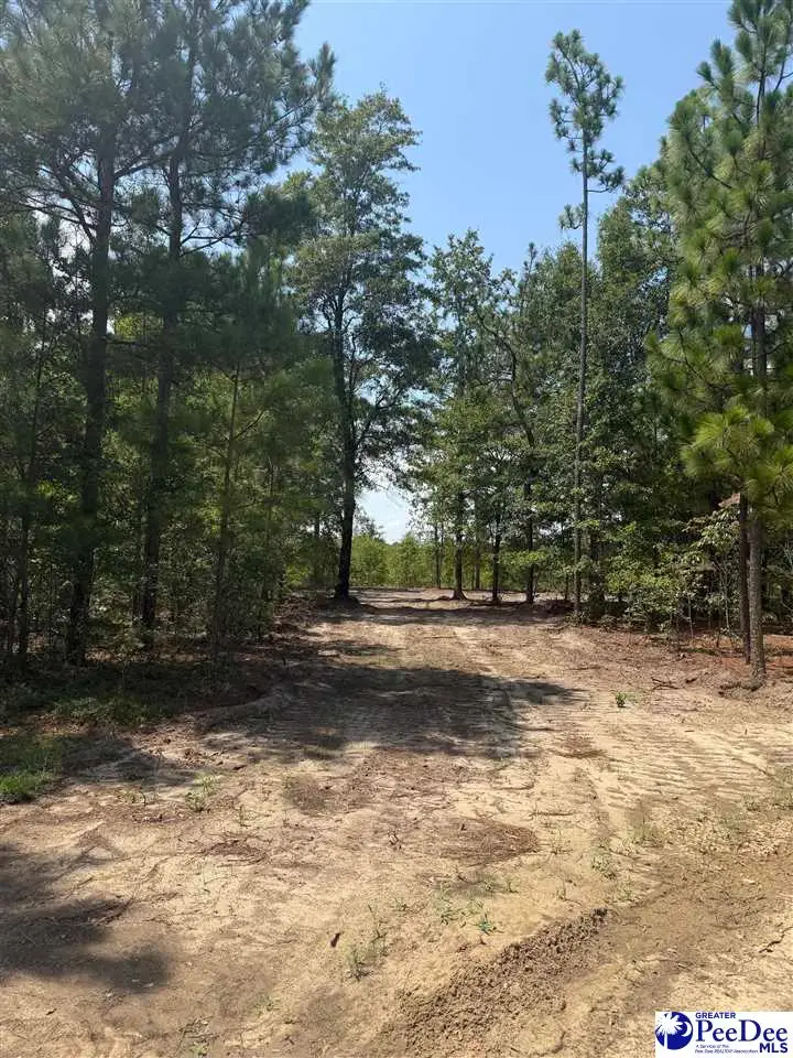 Lot 1 Patrick Highway, Hartsville, SC 29550 - #1