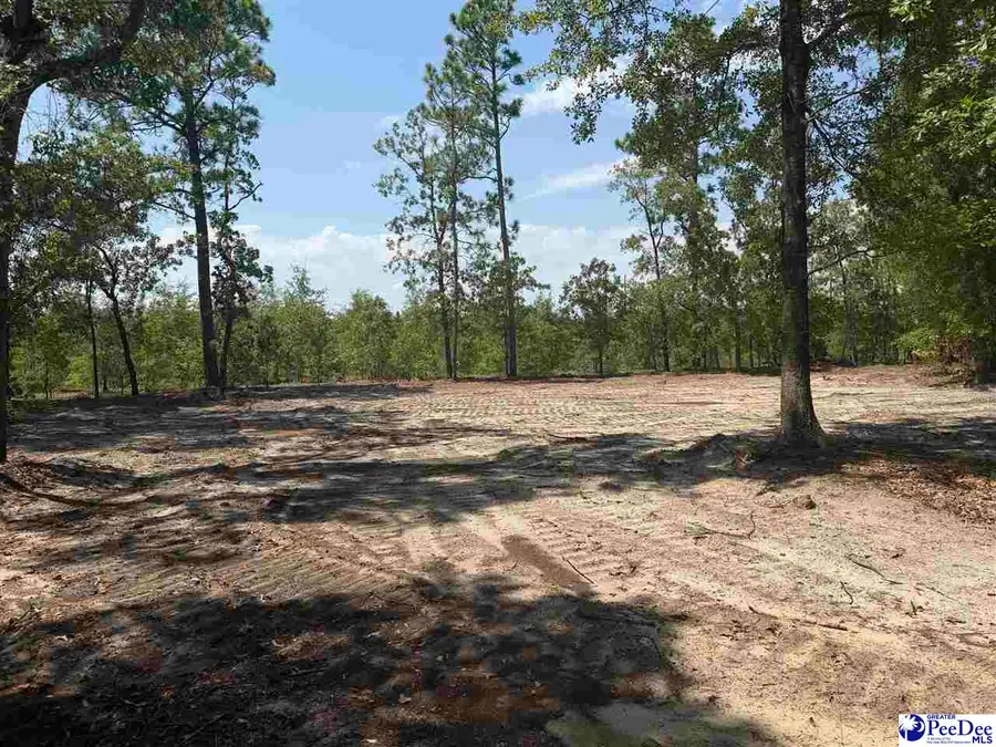 Lot 1 Patrick Highway, Hartsville, SC 29550 - #2