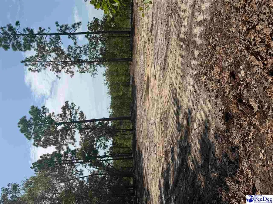 Lot 1 Patrick Highway, Hartsville, SC 29550 - #3