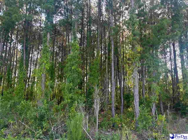 Commanchee Street Lots, Hartsville, SC 29550