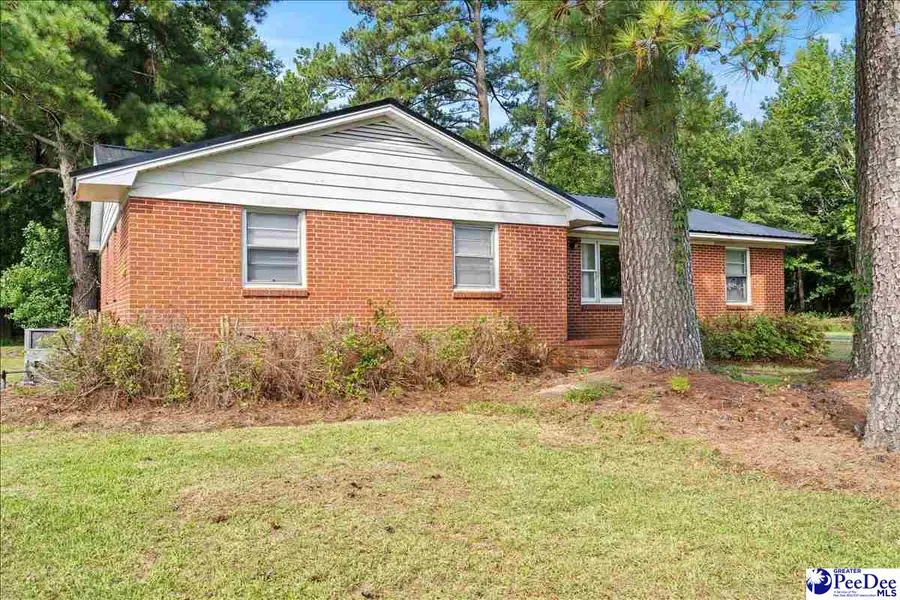 187 Brushy Bay Road, Bennettsville, SC 29512 - #2