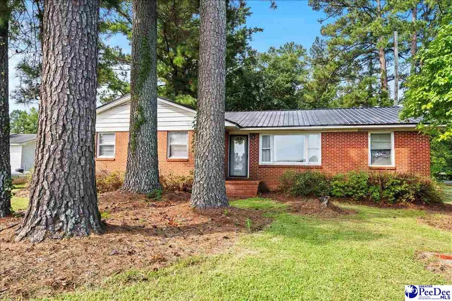 187 Brushy Bay Road, Bennettsville, SC 29512 - #3