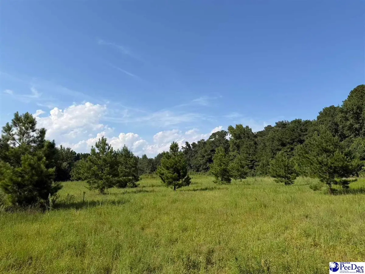 TBD Stoney Court, Dillon, SC 29536 - #1