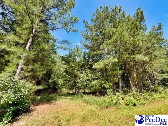 Laney Road, Cheraw, SC 29520 - #2