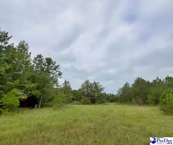 Us Hwy 1, Cheraw, SC 29520