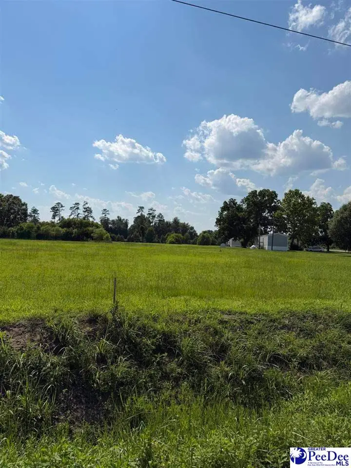 TBD Stirckland Rd Lot 3, Green Sea, SC 29545 - #1