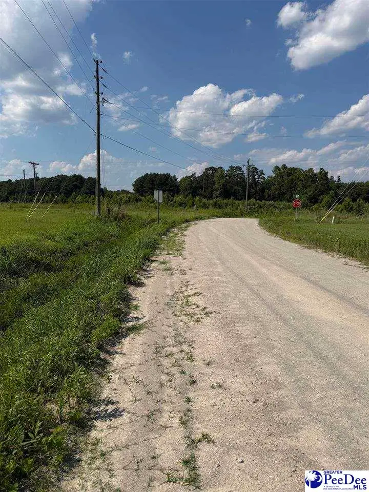 TBD Stirckland Rd Lot 3, Green Sea, SC 29545 - #2