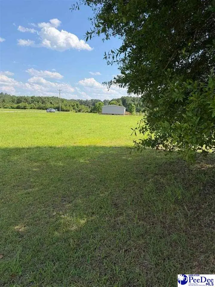TBD Stirckland Rd Lot 2, Green Sea, SC 29545 - #2