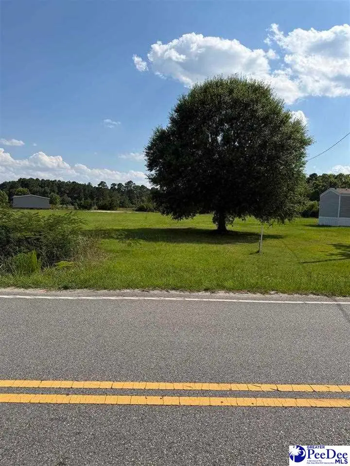 TBD Stirckland Rd Lot 2, Green Sea, SC 29545 - #3