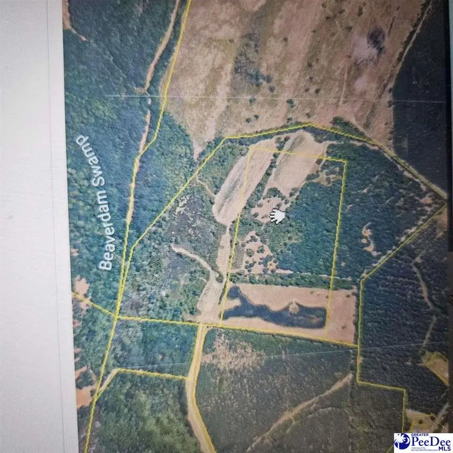 TBD Bratcher Rd, Conway, SC 29526 - #3