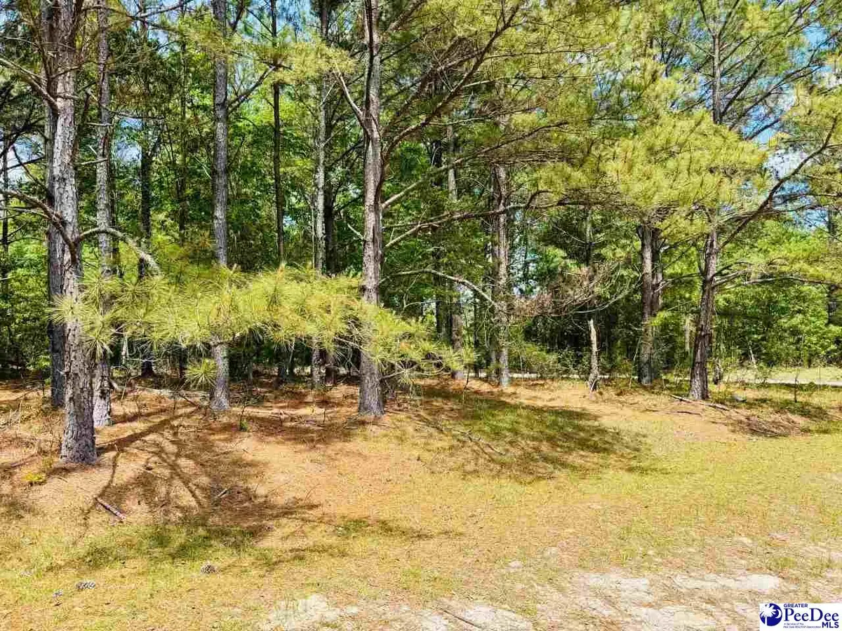 385 Elbert Baskins Rd, Cheraw, SC 29520 - #1