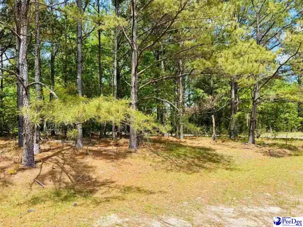 385 Elbert Baskins Rd, Cheraw, SC 29520