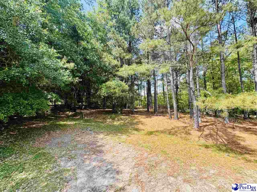 385 Elbert Baskins Rd, Cheraw, SC 29520 - #2