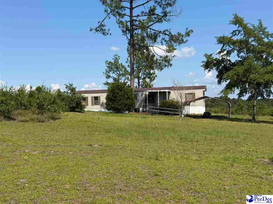 518 Singletree Rd, Cheraw, SC 29520 - #2