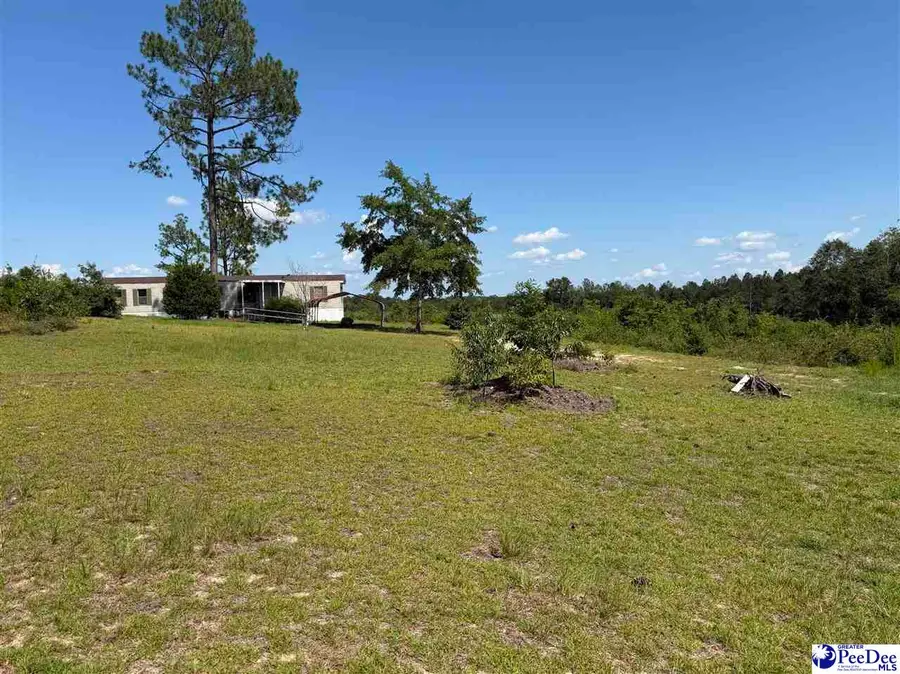 518 Singletree Rd, Cheraw, SC 29520 - #3