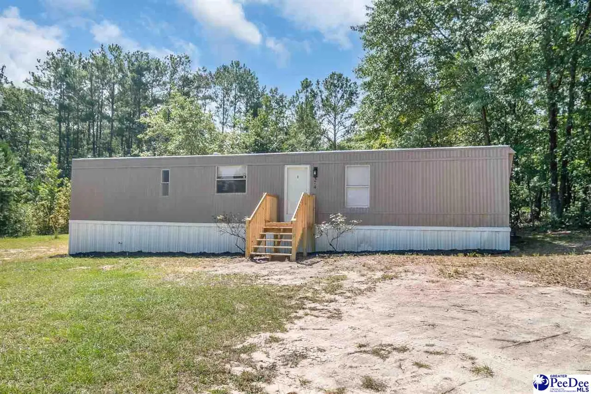 374 Vaughn Lane, Chesterfield, SC 29709 - #1