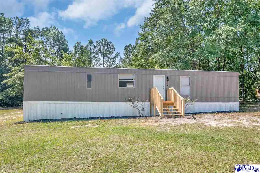 374 Vaughn Lane, Chesterfield, SC 29709 - #2