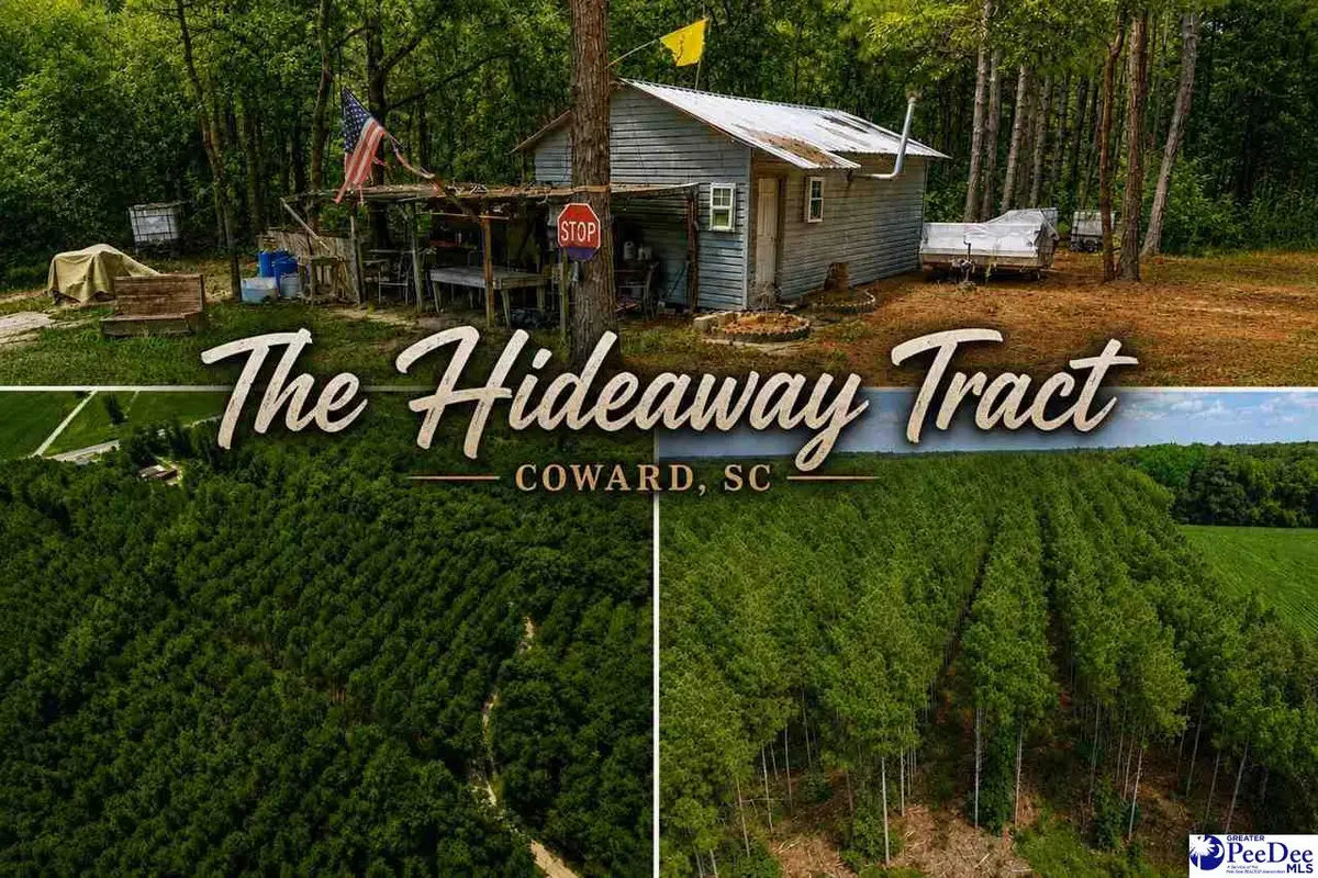 TBD Gause Canal Rd, Coward, SC 29530 - #1