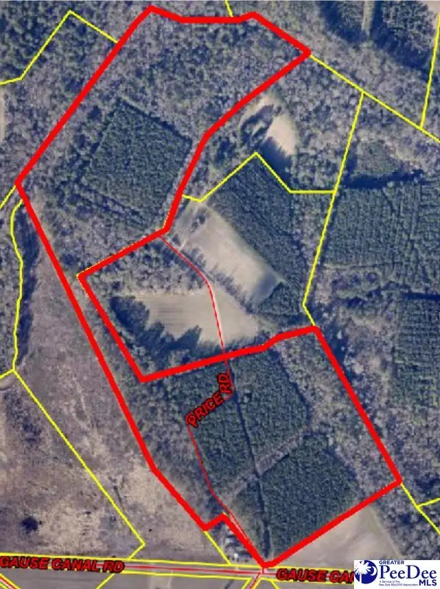 TBD Gause Canal Rd, Coward, SC 29530 - #2
