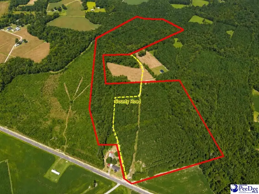 TBD Gause Canal Rd, Coward, SC 29530 - #3