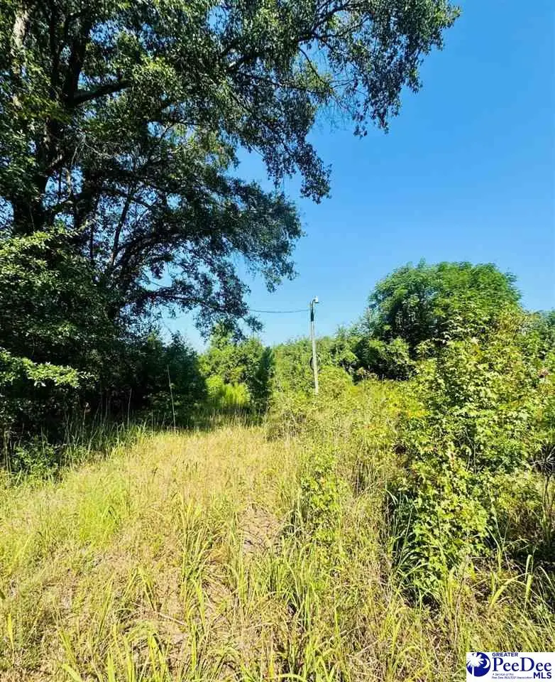 Newman Lane, Jefferson, SC 29718 - #2